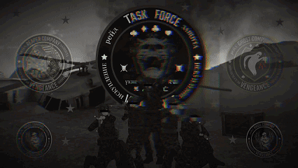 Task Force Vengeance banner