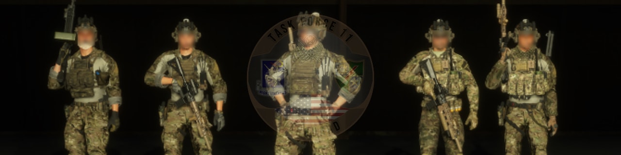 Task Force 11 "Vanguard" banner