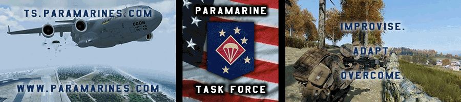 Paramarine Task Force banner