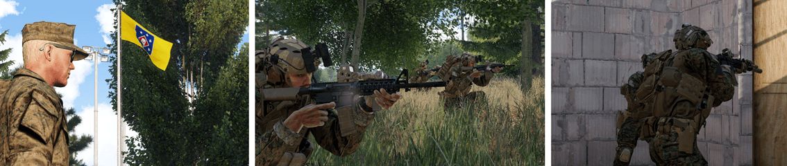 1st Virtual Marine Raider Battalion banner