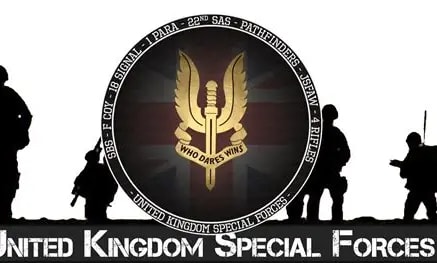 22nd SAS D Squadron banner