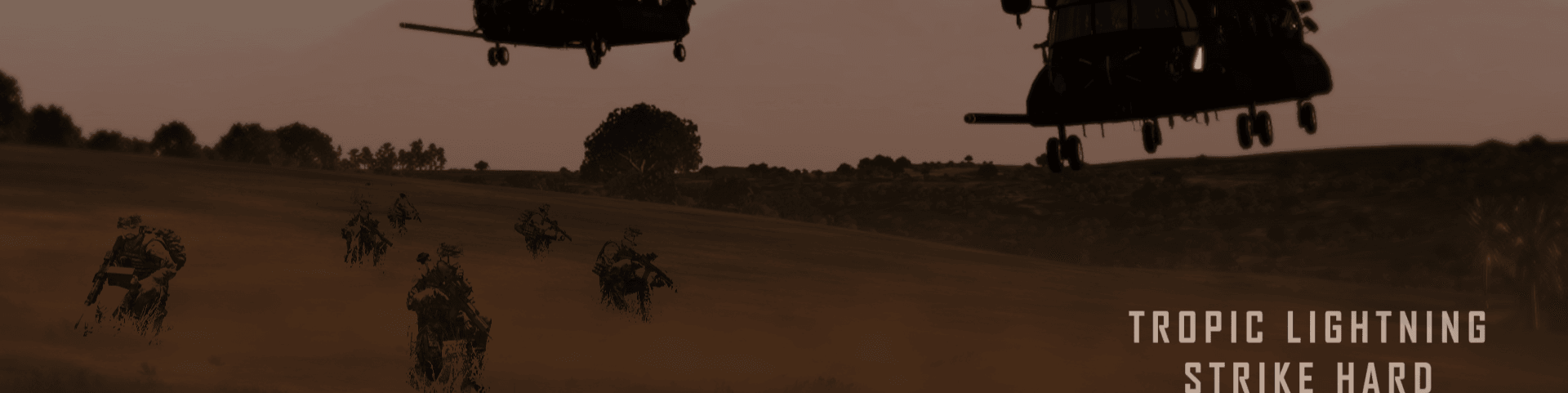 25th Infantry Division banner