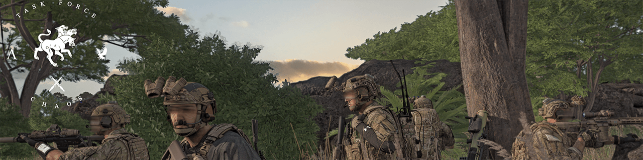 Task Force Chaos banner