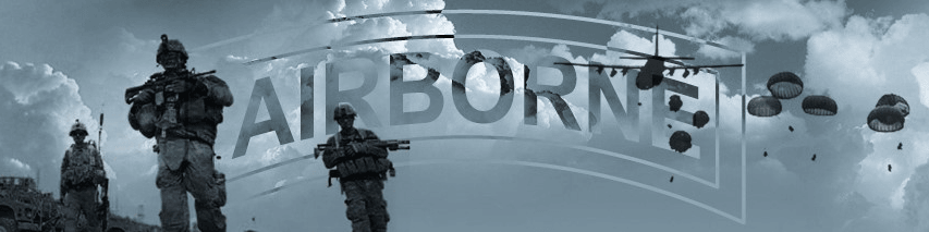 173rd Airborne Brigade MilSim banner
