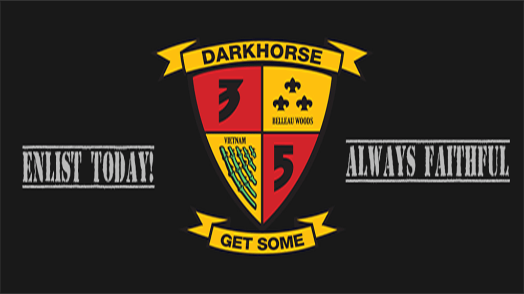 3rd Battalion 5th Marines banner