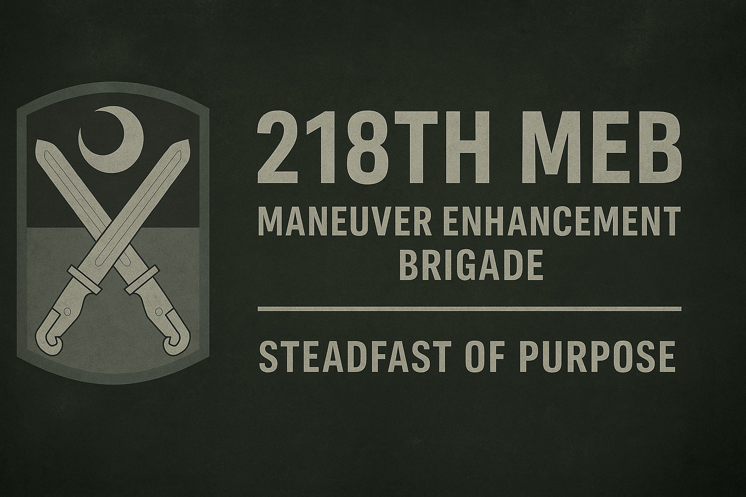 218th Maneuver Enhancement Brigade banner