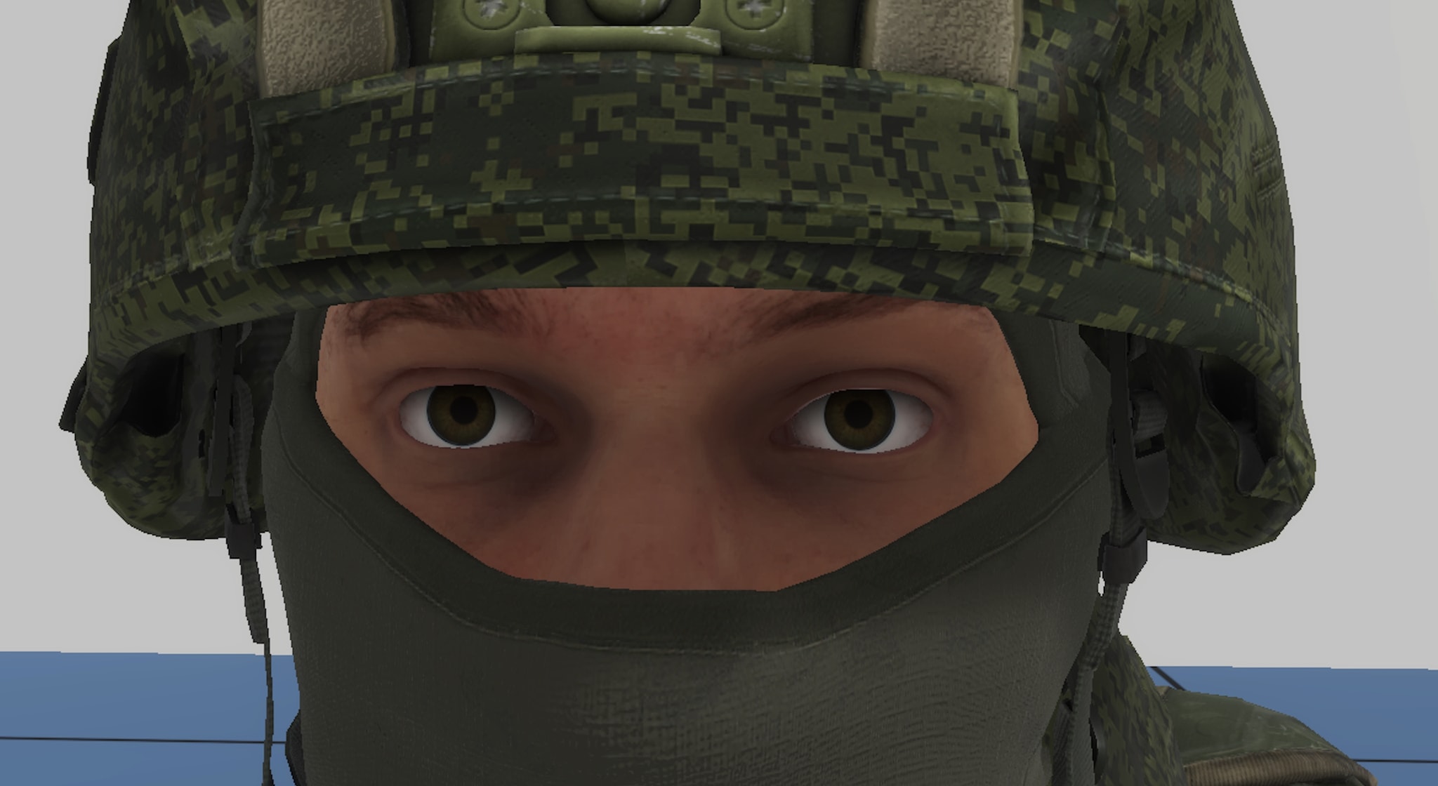 69th Motorized Dingus Division banner