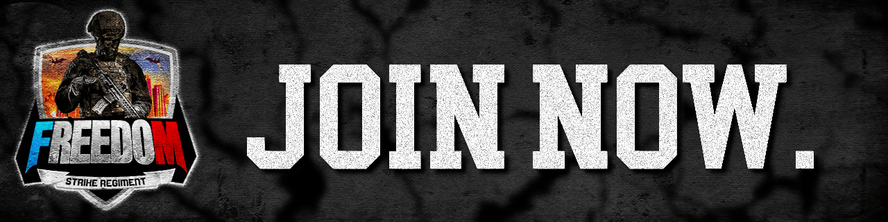 Freedom Strike Regiment banner