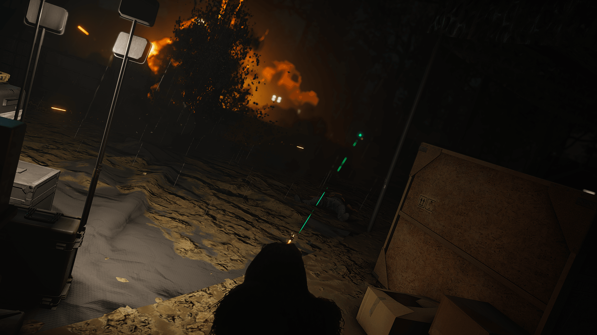 77th Lunar Serpent Company banner