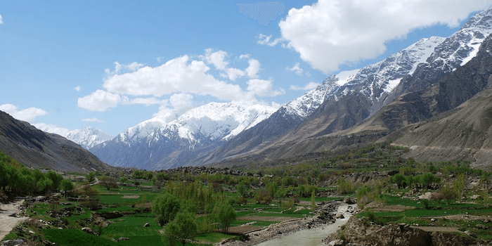 Freedom Front (جبهة الحرية) banner
