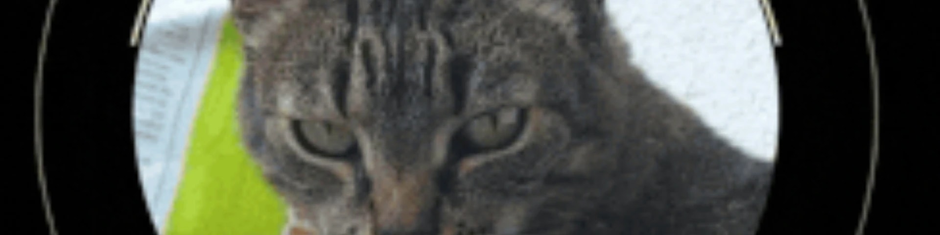 Just Another MilSim Unit banner