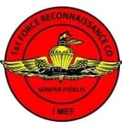 1st Force Reconnaissance Company insignia