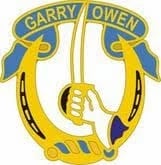 1st Battalion 7th Air Cavalry division insignia