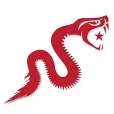 Outlaw 2-1 insignia