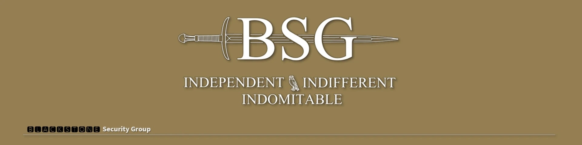 Blackstone Security Group banner