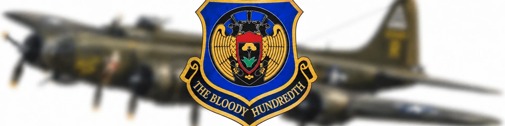 100th Bomb Group - "Bloody Hundredth" banner