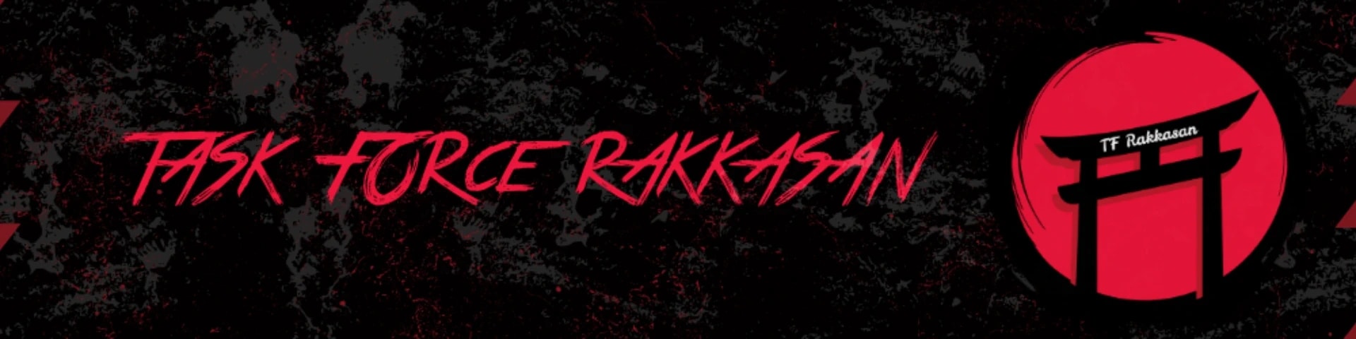 Task Force Rakkasans banner
