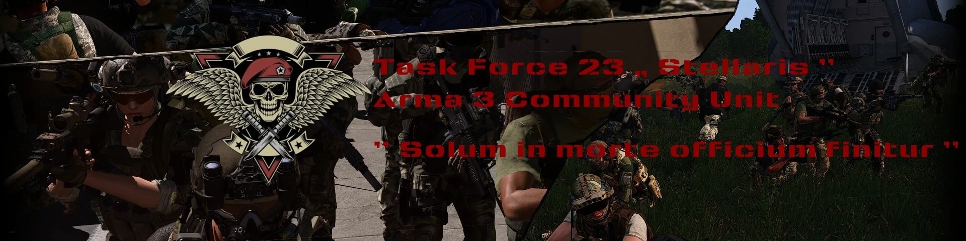 Task Force 23 Stellaris banner