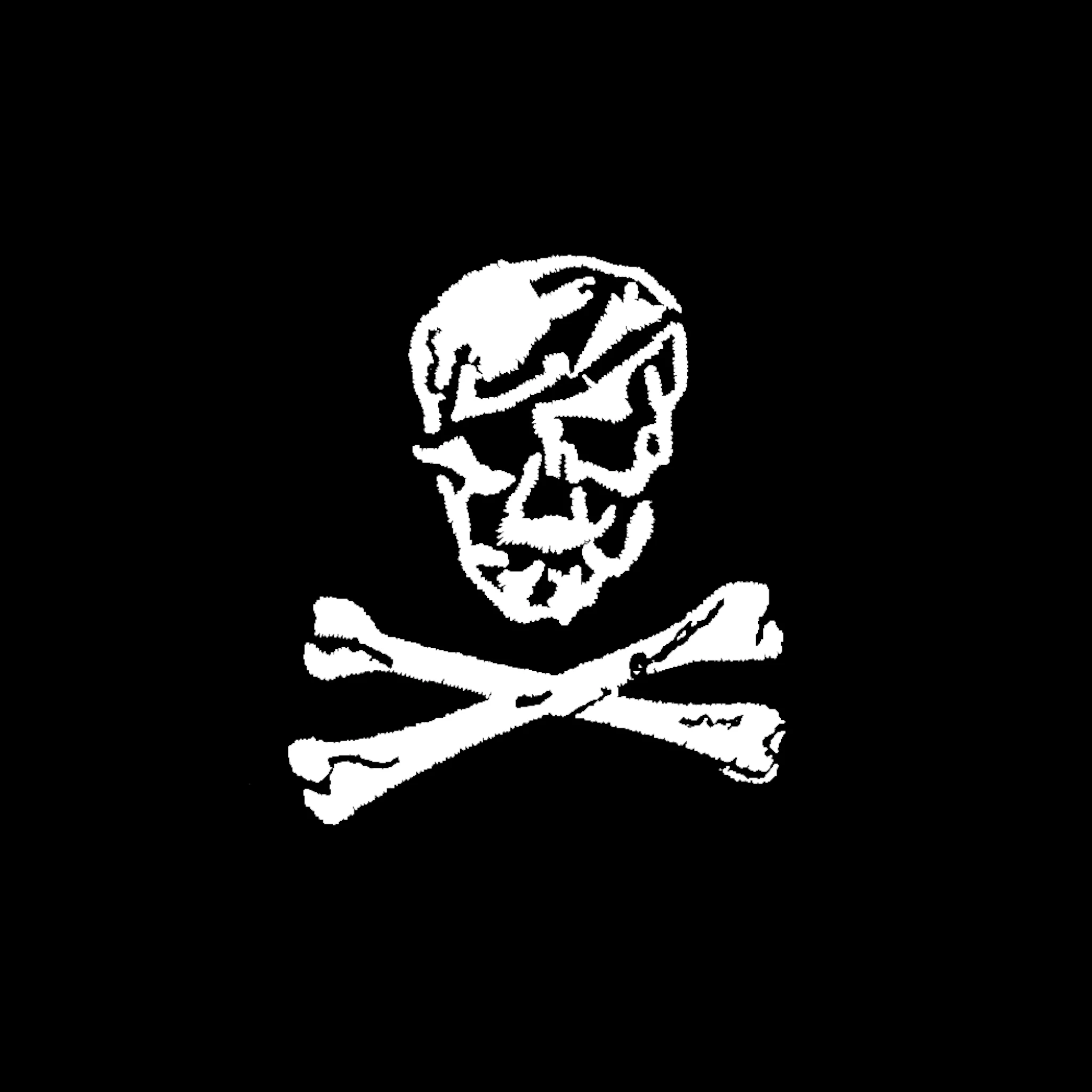 TACDEVRON 2 insignia
