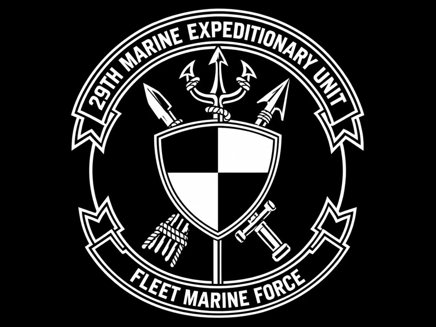 29th MEU | Fleet Marine Force insignia