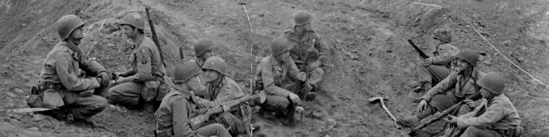 29th Infantry Division MilSim banner