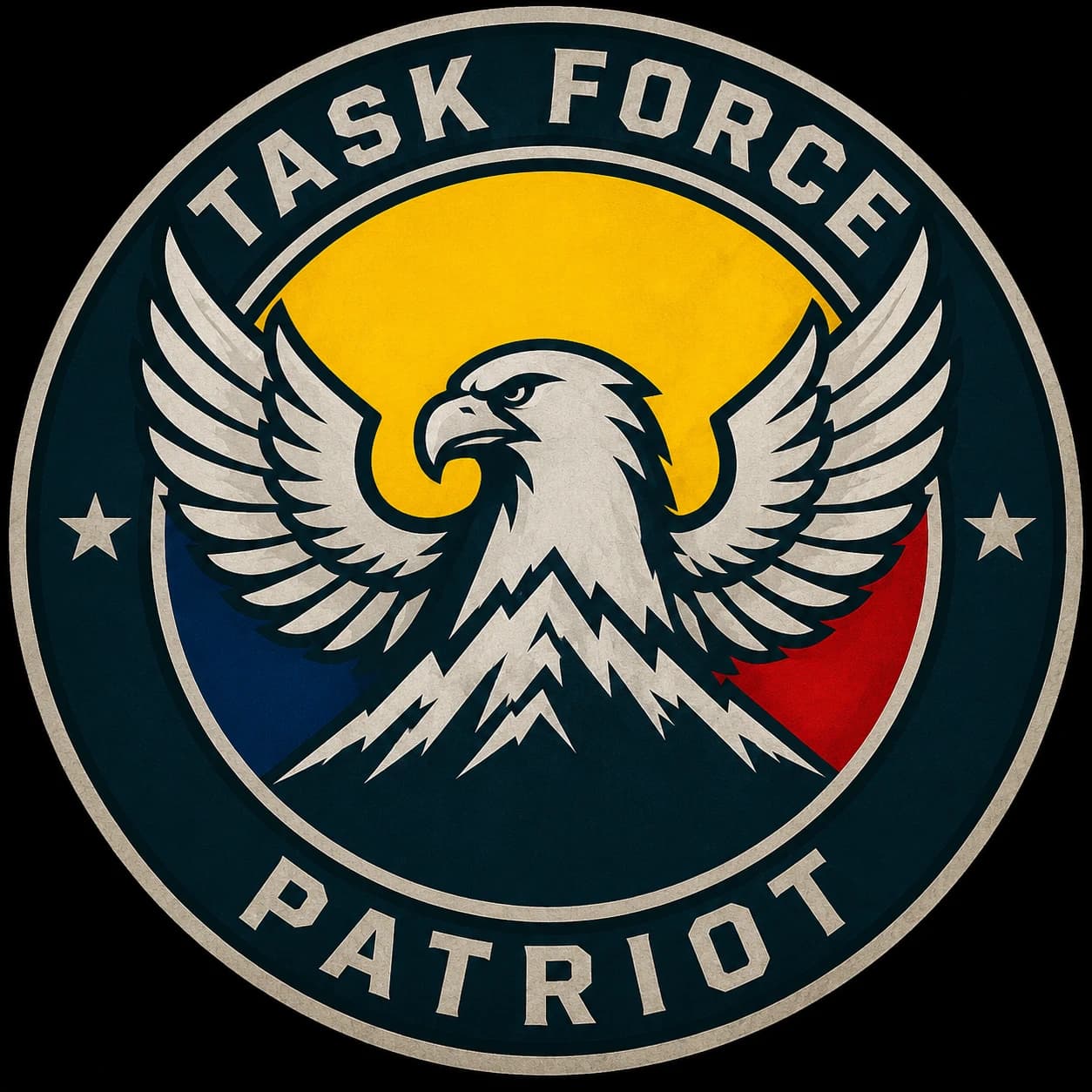 TF Patriot insignia