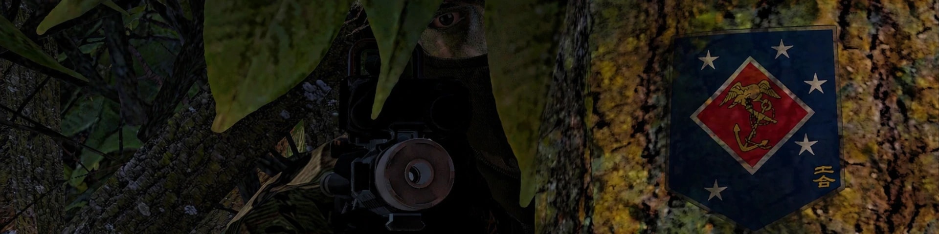 Marine Special Operations Company banner