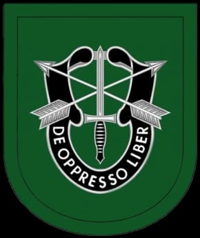 10th Special Forces Group (10thSFG) insignia