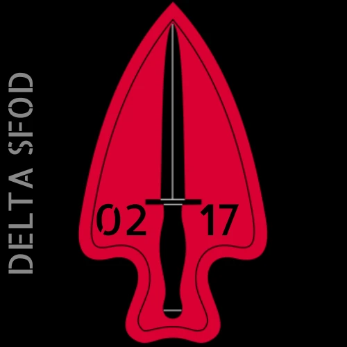 2-17 Delta | SFOD insignia