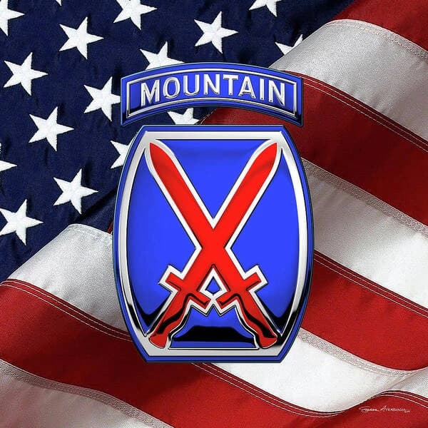 1st BCT 10th Mountain Division insignia