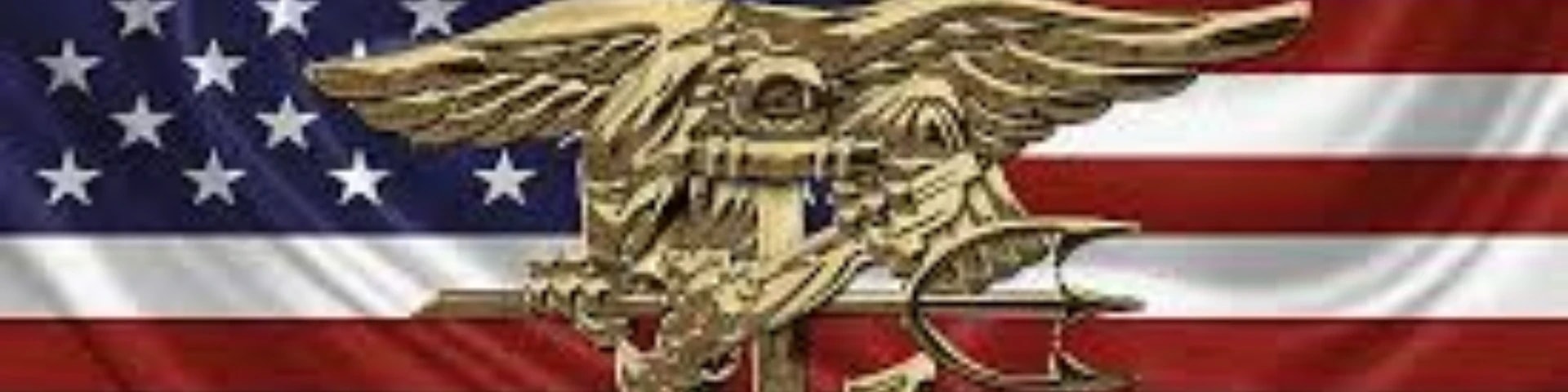 NAVY SEALS banner