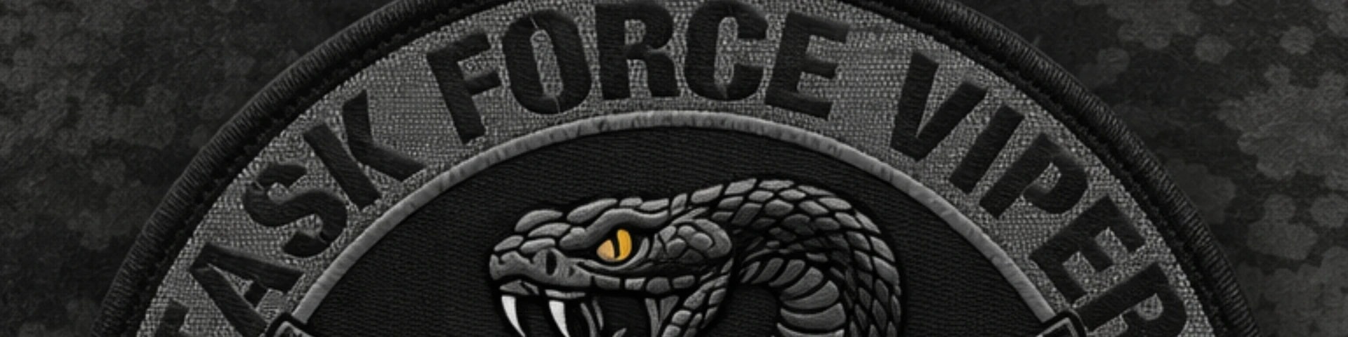 Task Force Viper banner