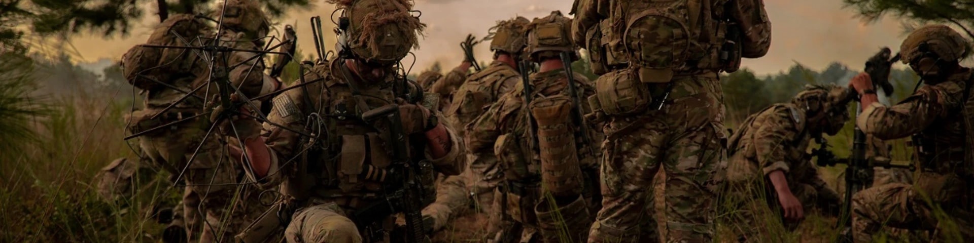 Task Force Lion banner