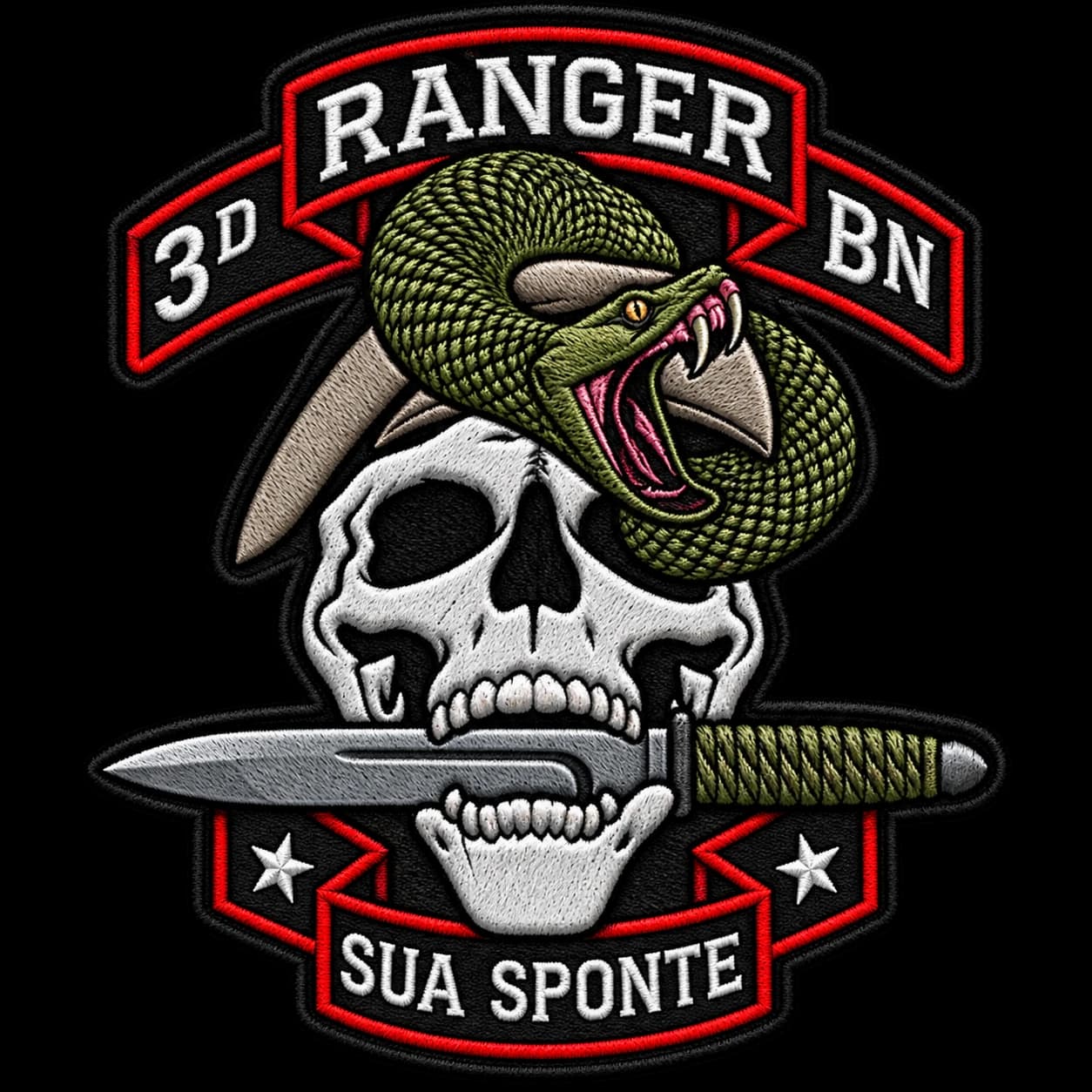 Bravo Company 3rd Battalion, 75th Ranger Regiment | A3 insignia