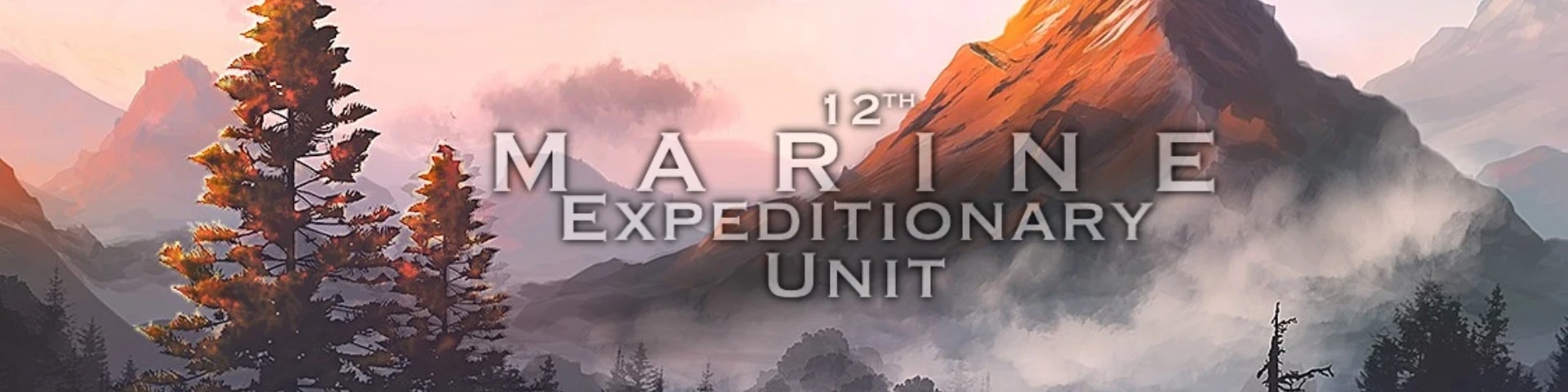 UNSC 12th MEU banner