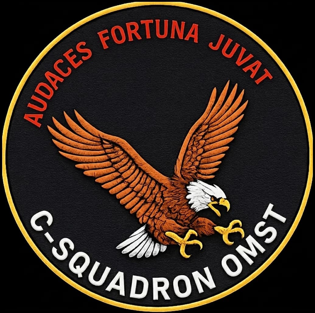 C-SQUADRON OMST insignia
