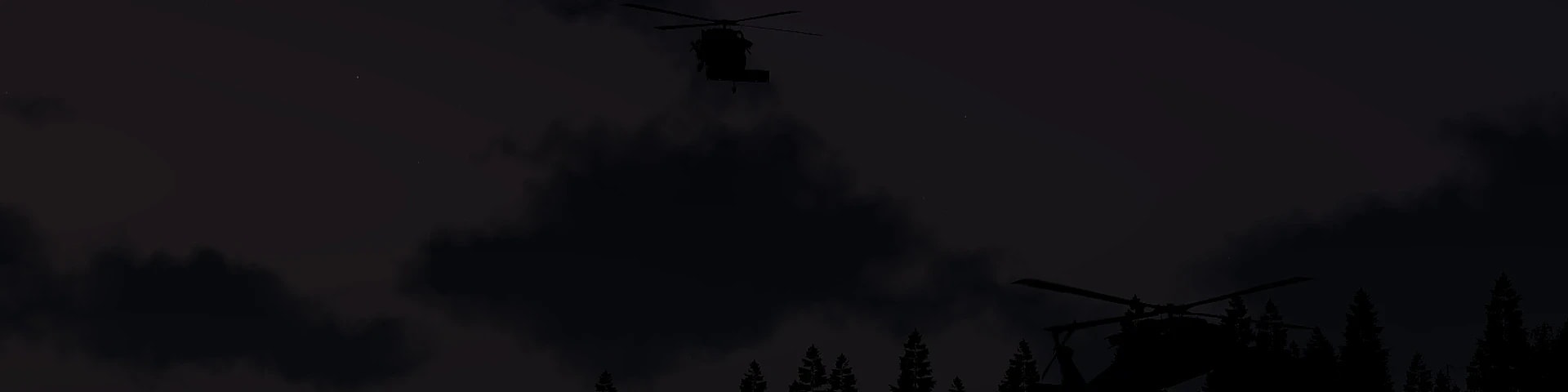 6th Ranger Regiment banner