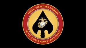 The Devils Rejects Special Operations Unit insignia