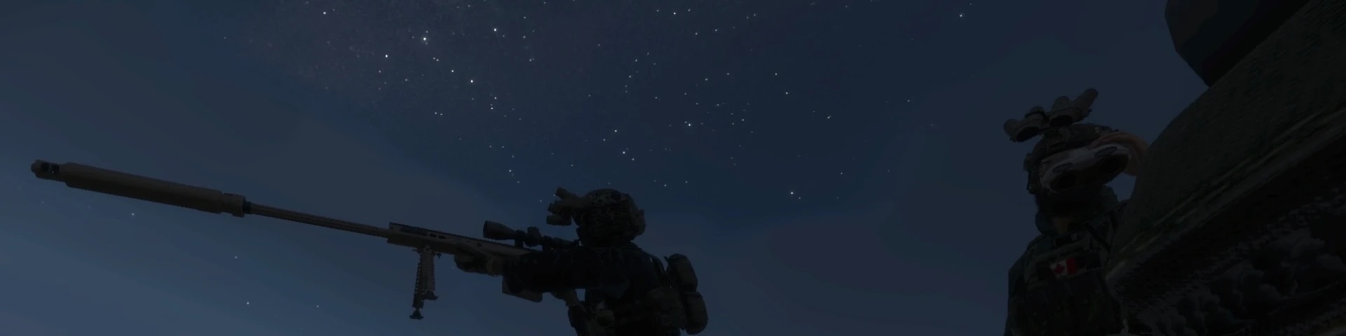 Joint Task Force 2 banner