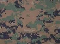 USMC/ special Operations Regiment insignia