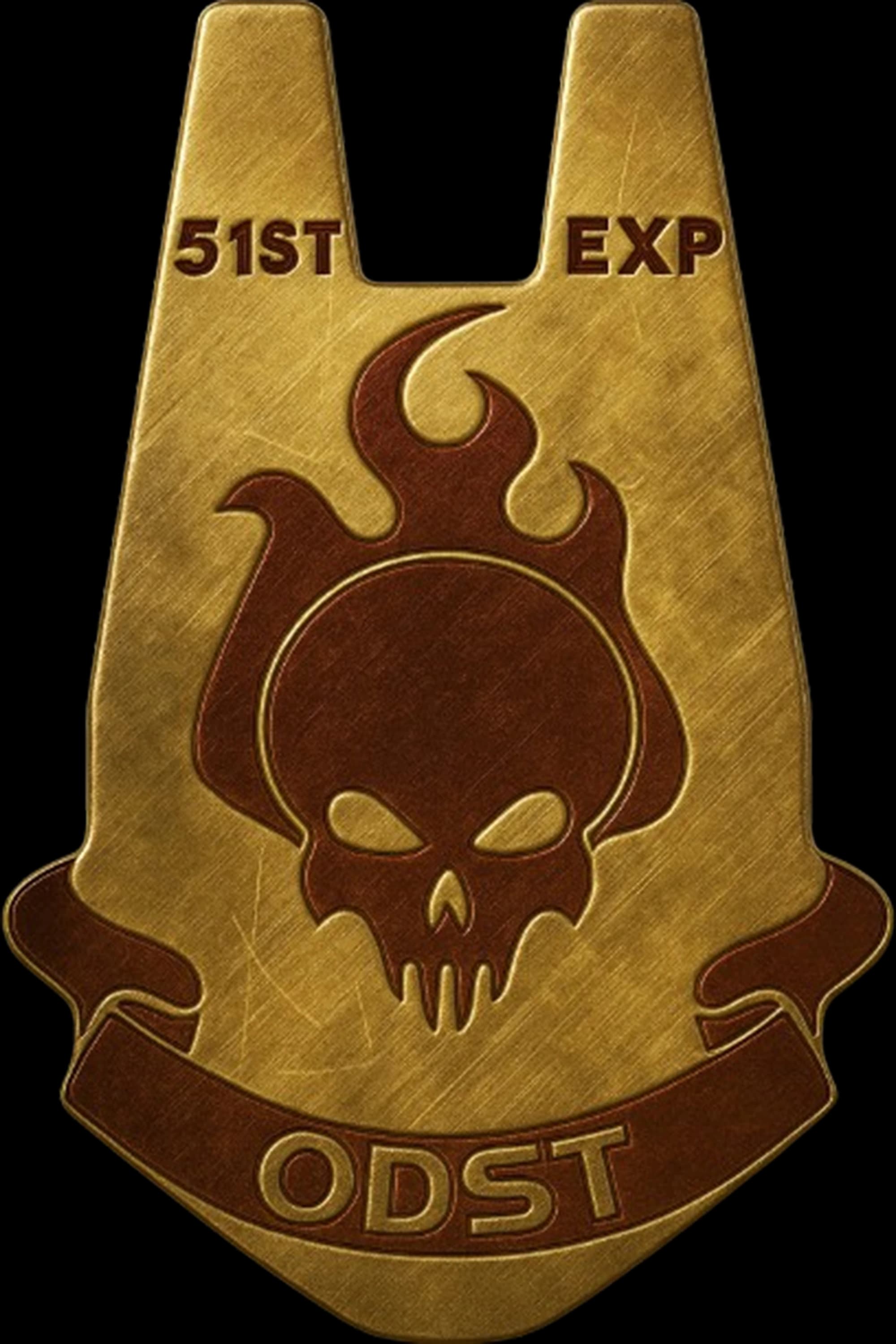 51st Expeditionary Force insignia
