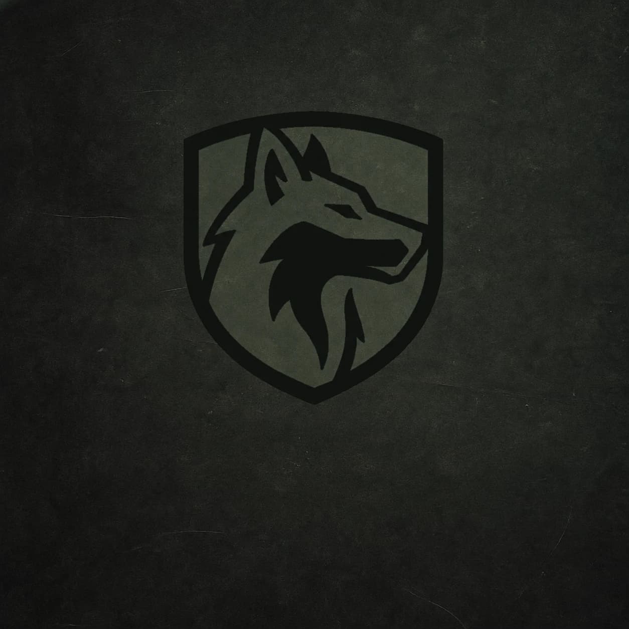 Volkov Group insignia