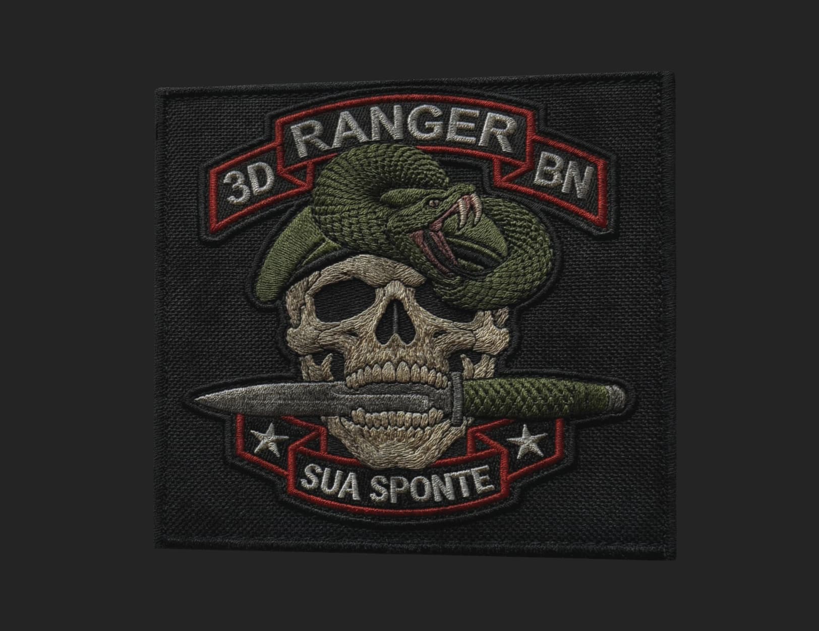 3/75 RANGER REGIMENT insignia