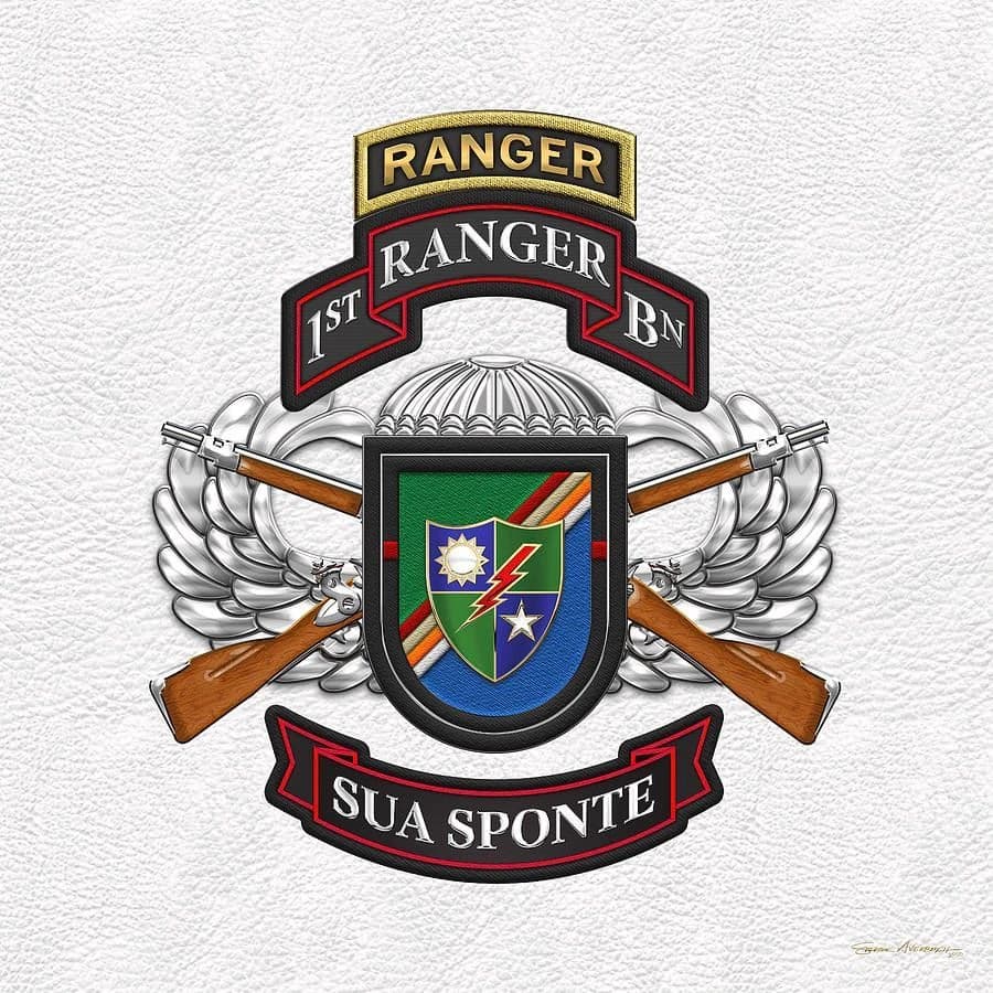 1st Ranger Battalion, MilSim Community insignia