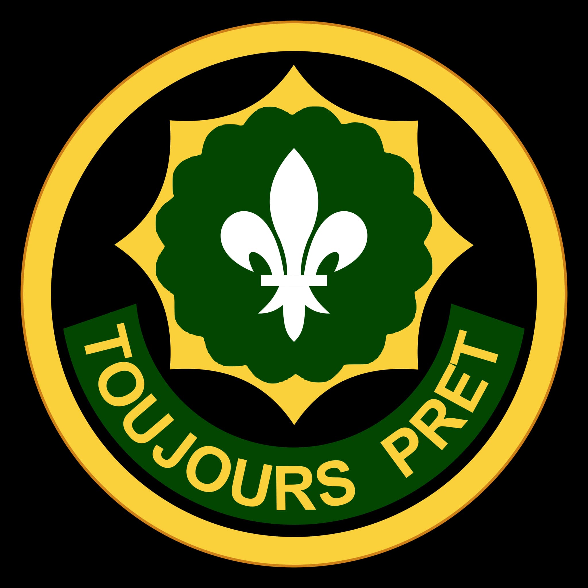 1st Squadron, 2d Stryker Cavalry Regiment insignia