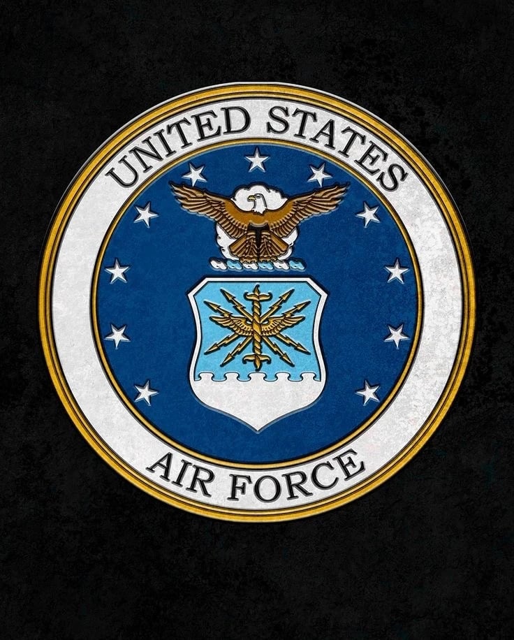 USAF | Task Force Spear insignia