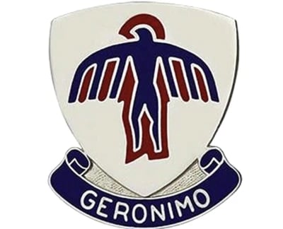 501st SAR insignia
