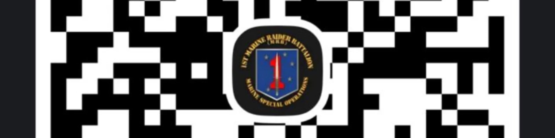 USMSG banner