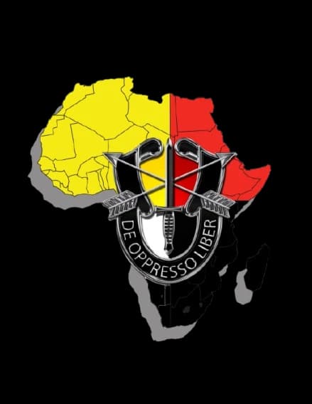 3rd SFG, 1st Battalion, 1st Company insignia
