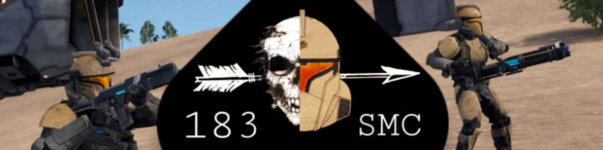 183 Special Missions Company "Legionnares" banner
